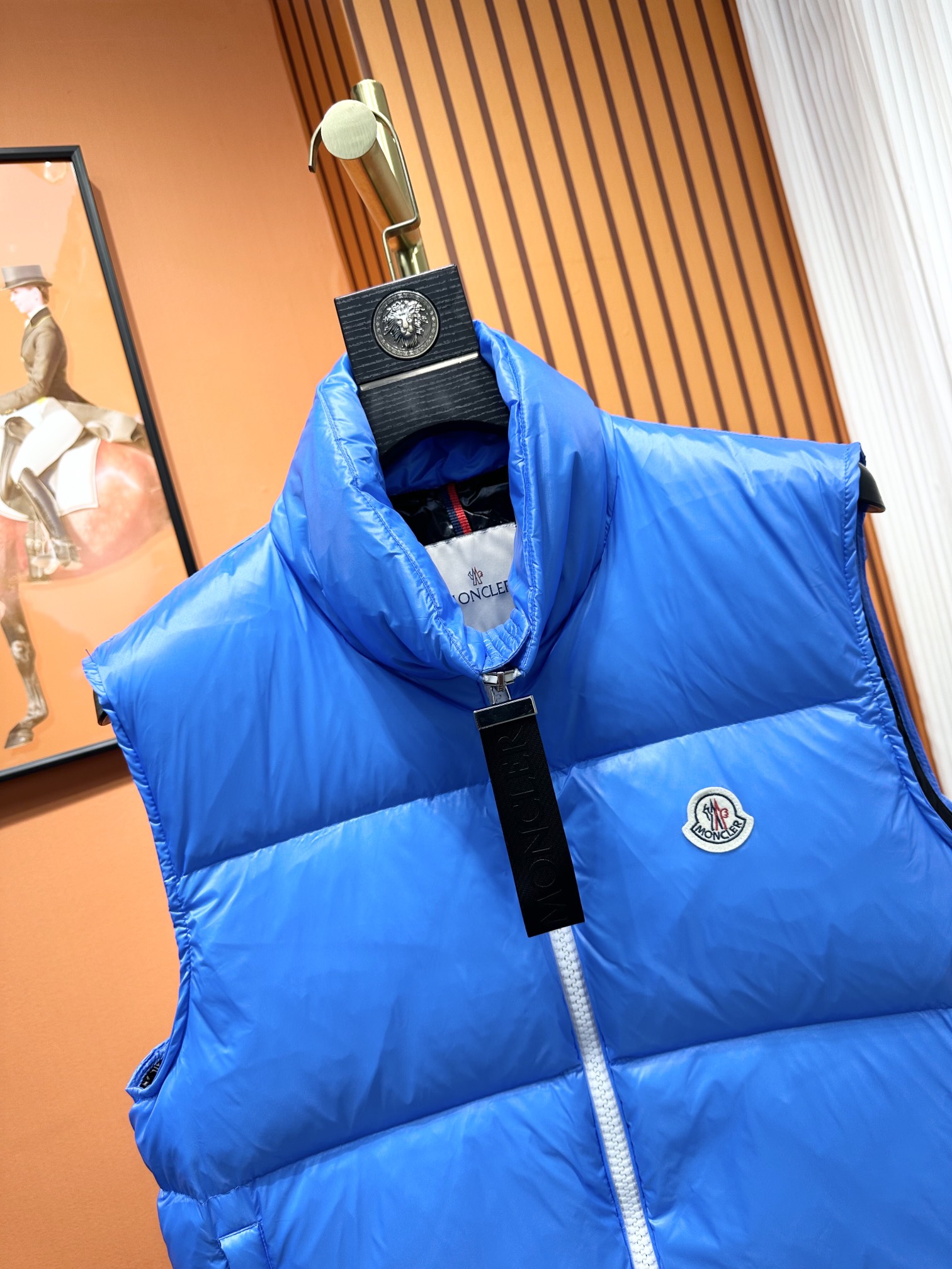 Moncler Down Jackets